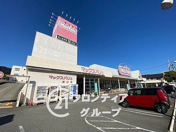 マックスバリュ城山店 徒歩5分。 380m