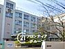 周辺：大阪市立加美北小学校 徒歩4分。 241m