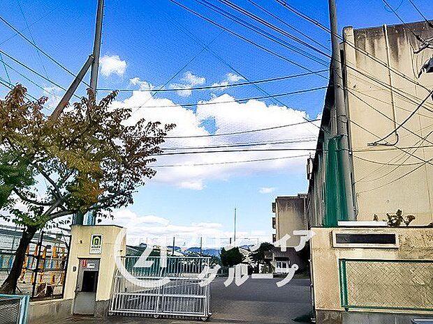 八尾市立亀井中学校 徒歩20分。 1550m