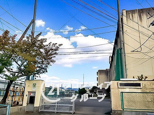 八尾市立亀井中学校 徒歩12分。 940m