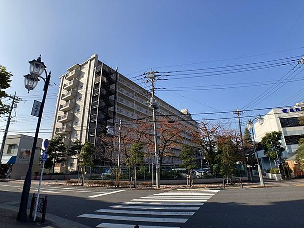 江戸川ハイツ(3LDK) 6階の外観