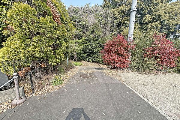 物件の南西側前面道路（南東側から）［2025年4月19日撮影］