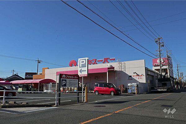 アオキスーパー(大高店)の外観