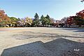 荒越公園の外観