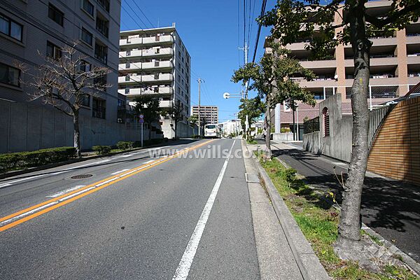 敷地東側の前面道路