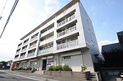 ピアンターレＭ