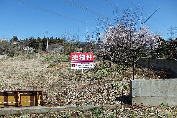 つくば市区域指定（誰でも建築出来る土地です）整形地（21ｍ×21ｍ）135坪で地形良。上水道・下水道は、前面道路から引込可能。常磐線（牛久駅）3.7ｋｍ。茎崎第一小学校500ｍ。高崎中学校480ｍ。