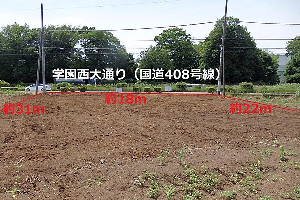 樹木伐採と草刈しました！学園西大通り（国道408号線沿い）つくば市売地で115坪です。