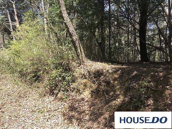 外観：321000069544