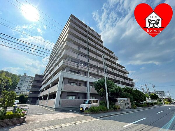 外観：344000015215