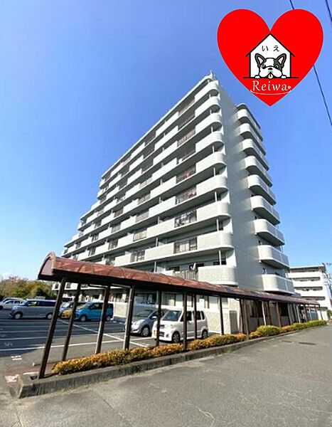 外観：344000015106