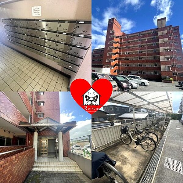 外観：344000016556