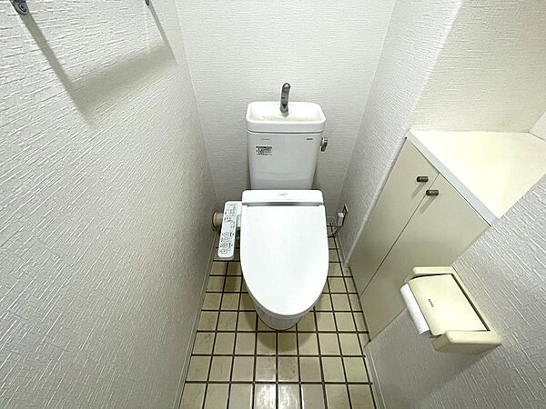 大きめの棚が付いたトイレです。