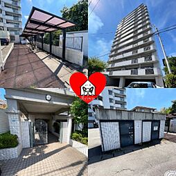 ハズ・ドゥペール高城