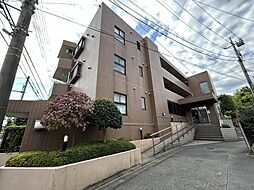 サンハイツ成増