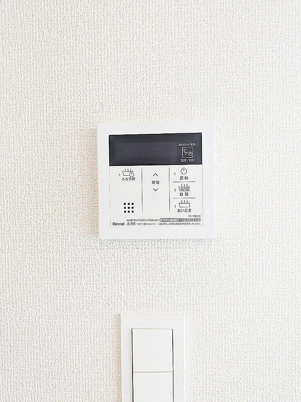2026年7月撮影
