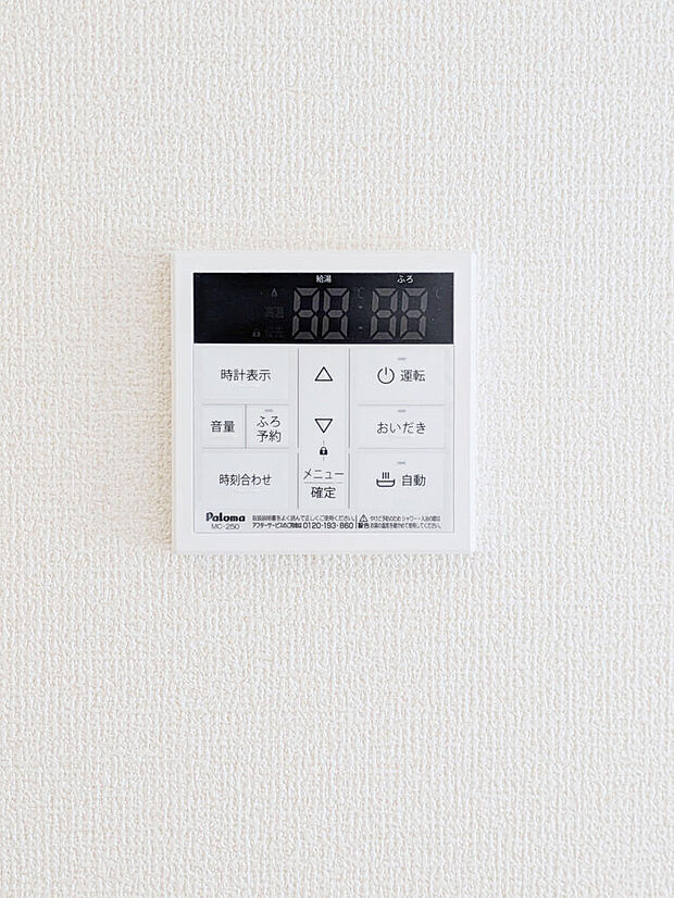 2026年7月撮影