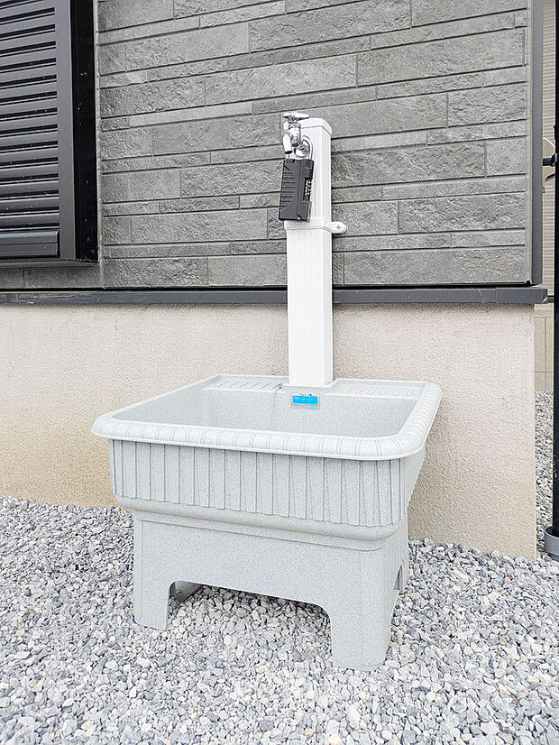 2026年7月撮影