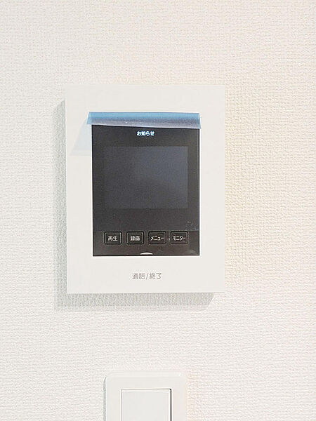 2026年7月撮影