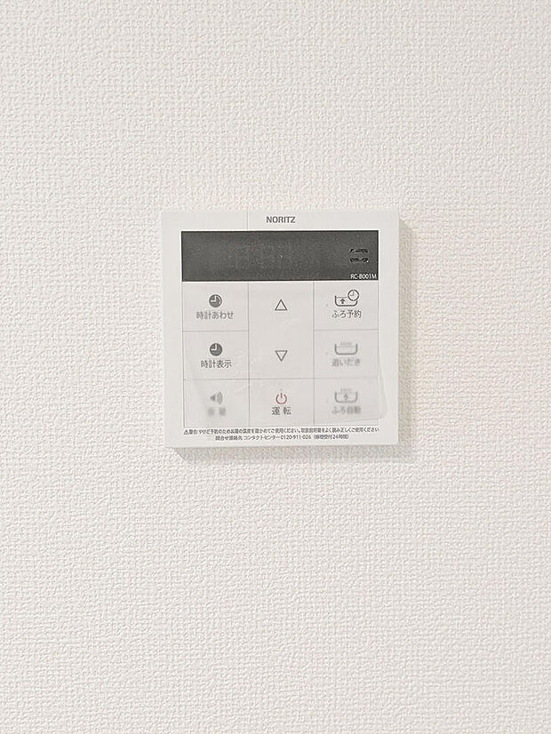 2026年7月撮影