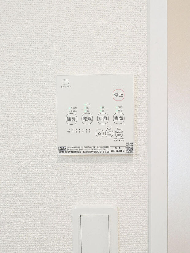 2026年7月撮影