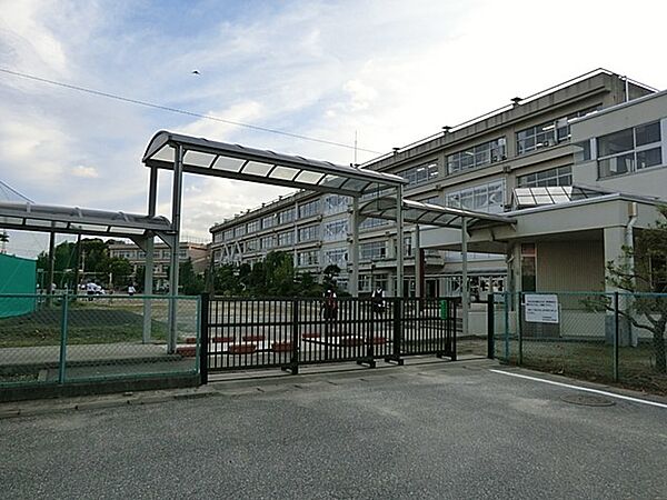 その他環境写真 550m 柏市立柏第三中学校