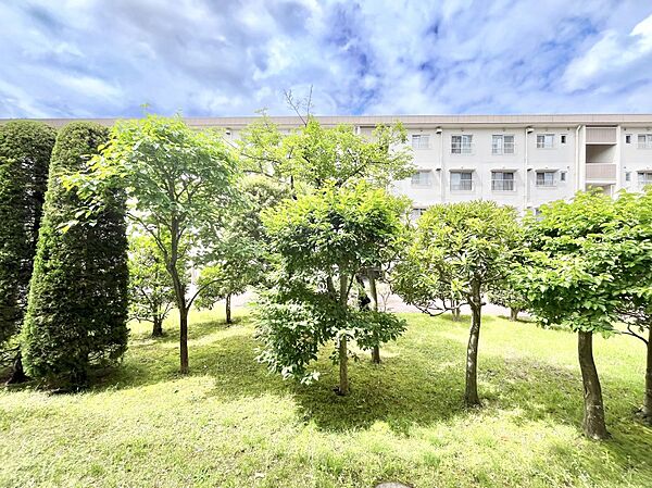 お住まいからの眺望です！