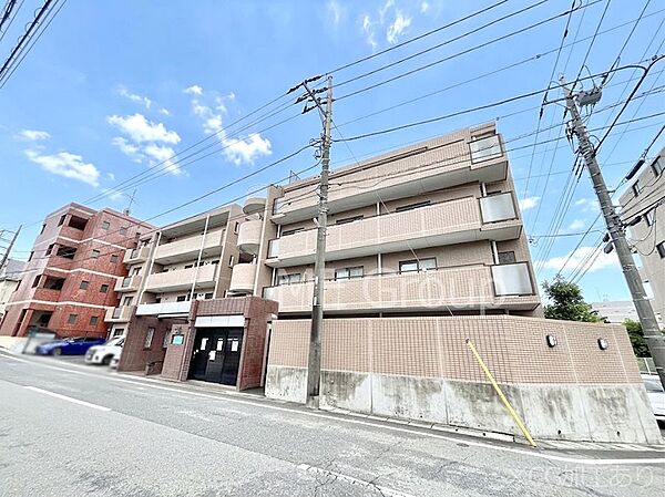 外観：312001262724