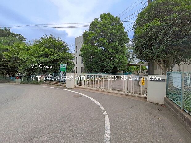 小学校 850m 柏市立中原小学校