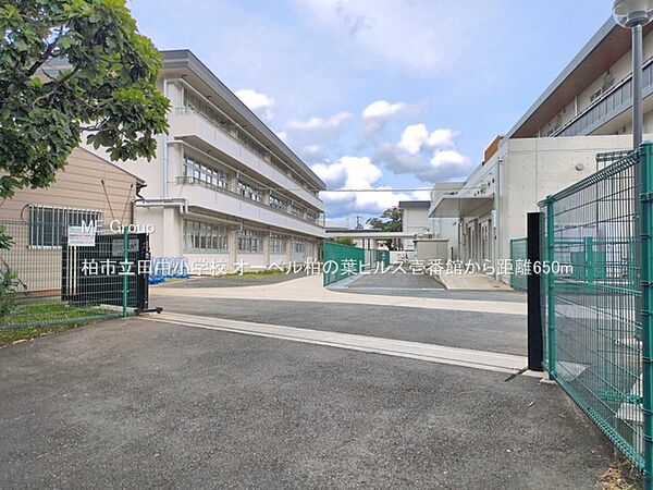 小学校 650m 柏市立田中小学校