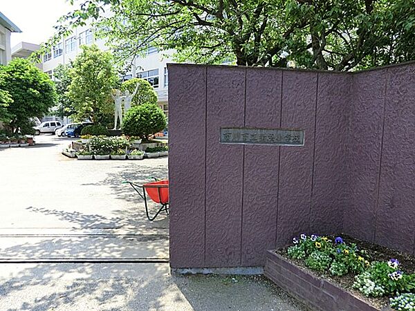 小学校 900m 市川市立新浜小学校