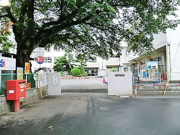 小学校 1070m 市川市立大柏小学校