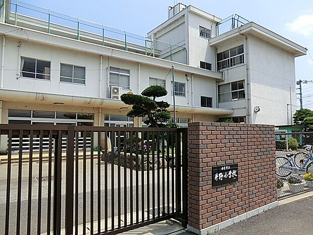 小学校 700m 佐倉市立井野小学校