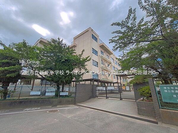 小学校 290m 市川市立新井小学校