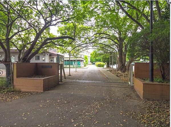 小学校 1315m 柏市立藤心小学校