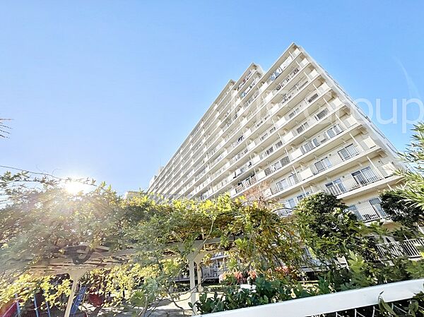 溢れる陽光でご家族の笑顔も輝く