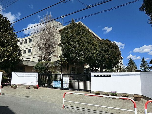小学校 320m 松戸市立六実小学校