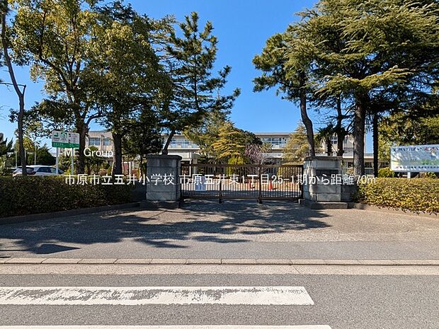 小学校 70m 市原市立五井小学校