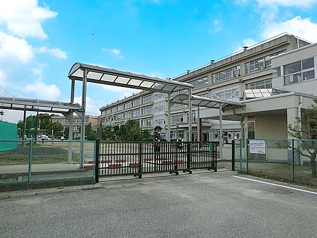 中学校 1000m 柏市立柏第三中学校