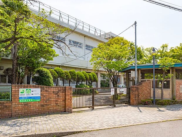 小学校 500m 市川市立南行徳小学校