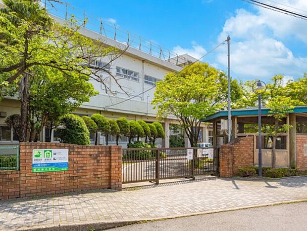 小学校 500m 市川市立南行徳小学校