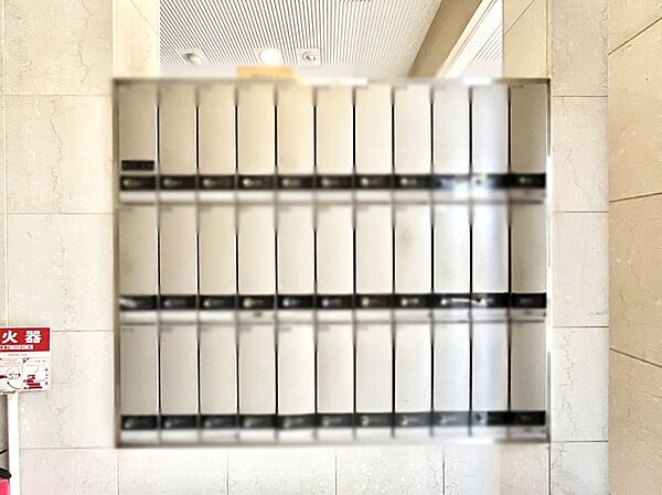 ポストはエントランス内にあるので雨に濡れず郵便が受け取れますね！
