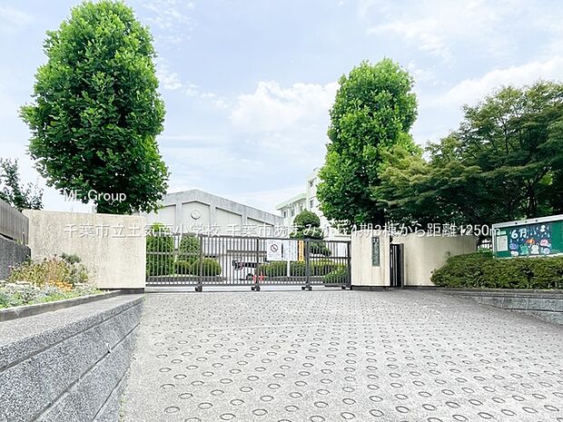 小学校 1250m 千葉市立土気南小学校