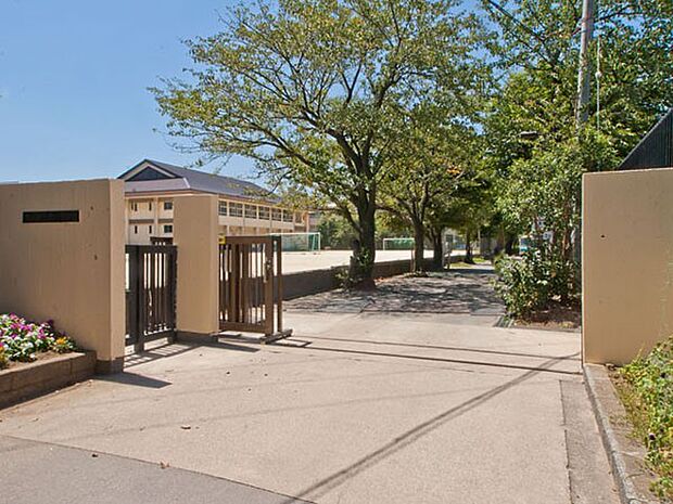中学校 1040m 市川市立第一中学校