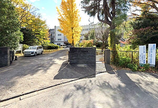 小学校 800m 八千代市立南高津小学校