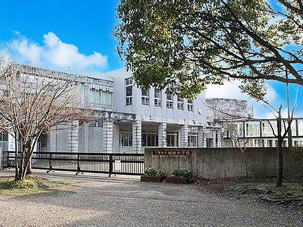 小学校 500m 千葉市立扇田小学校