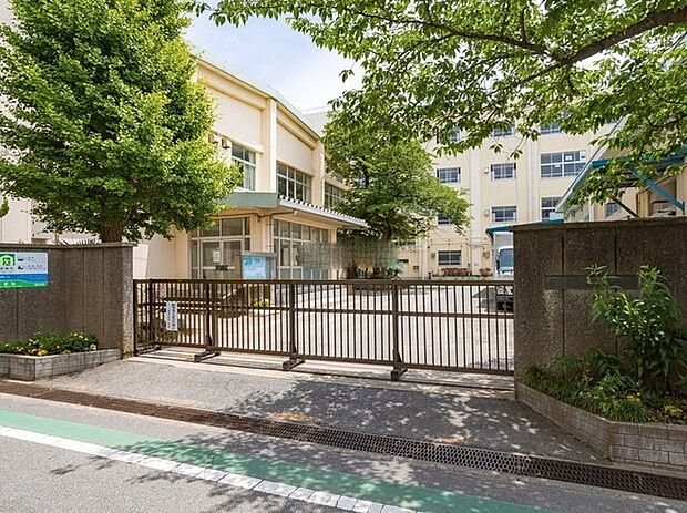 小学校 900m 市川市立信篤小学校
