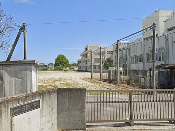 小学校 2700m 大網白里市立白里小学校