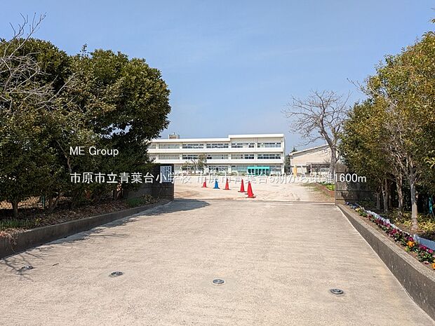 小学校 1600m 市原市立青葉台小学校