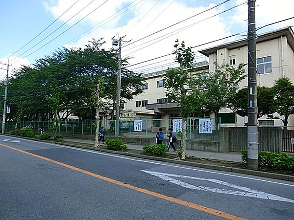 小学校 280m 柏市立松葉第二小学校
